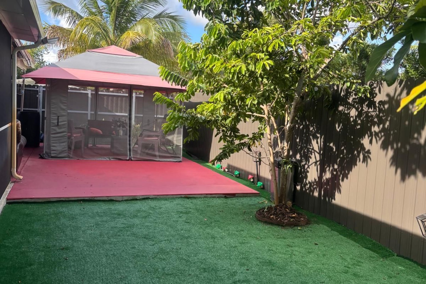 shady and sunny yard