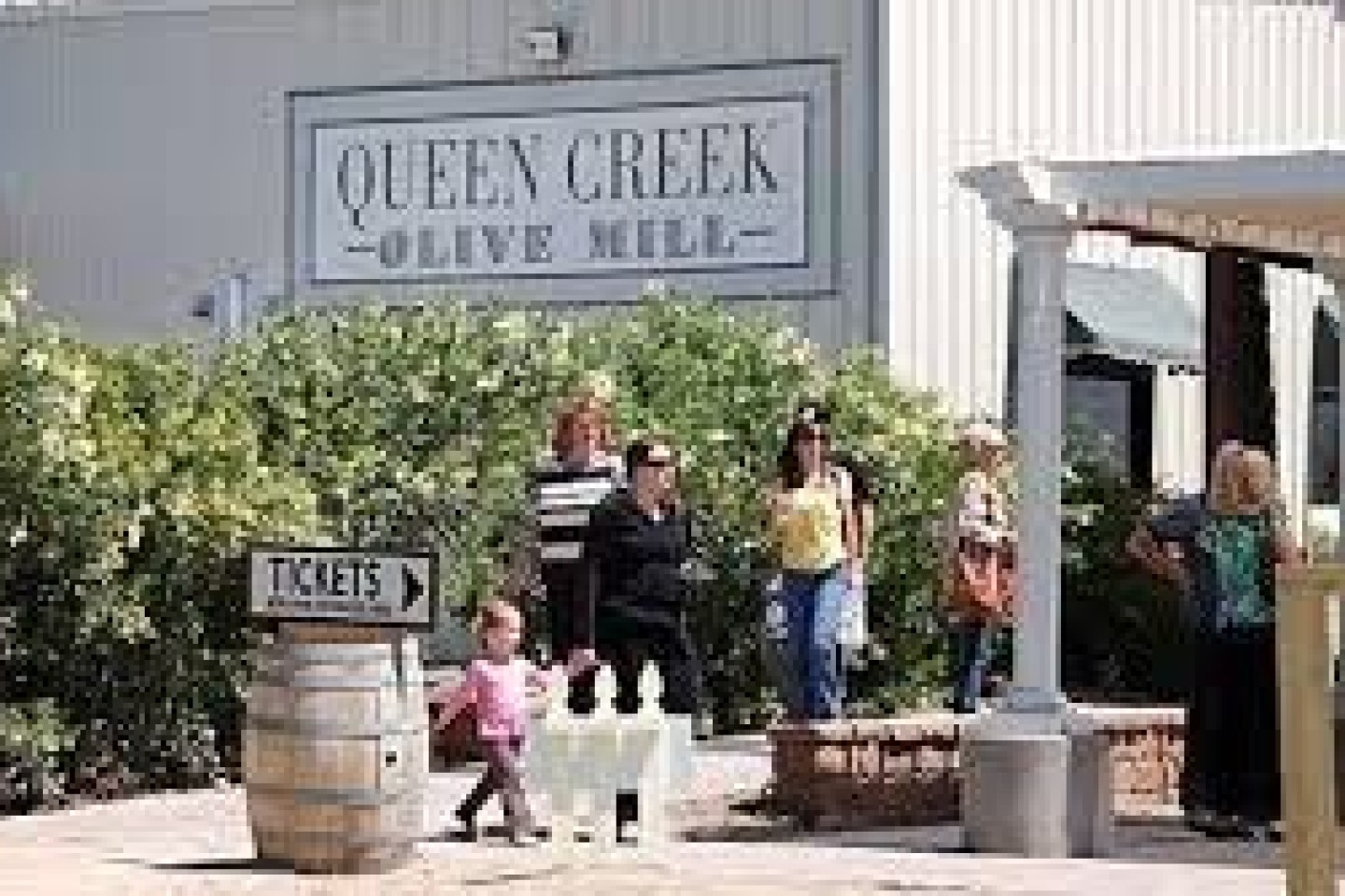 Queen Creek Olive Mill