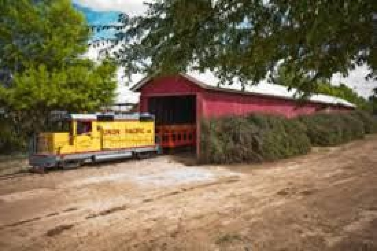 Schnepf Farms Train Ride