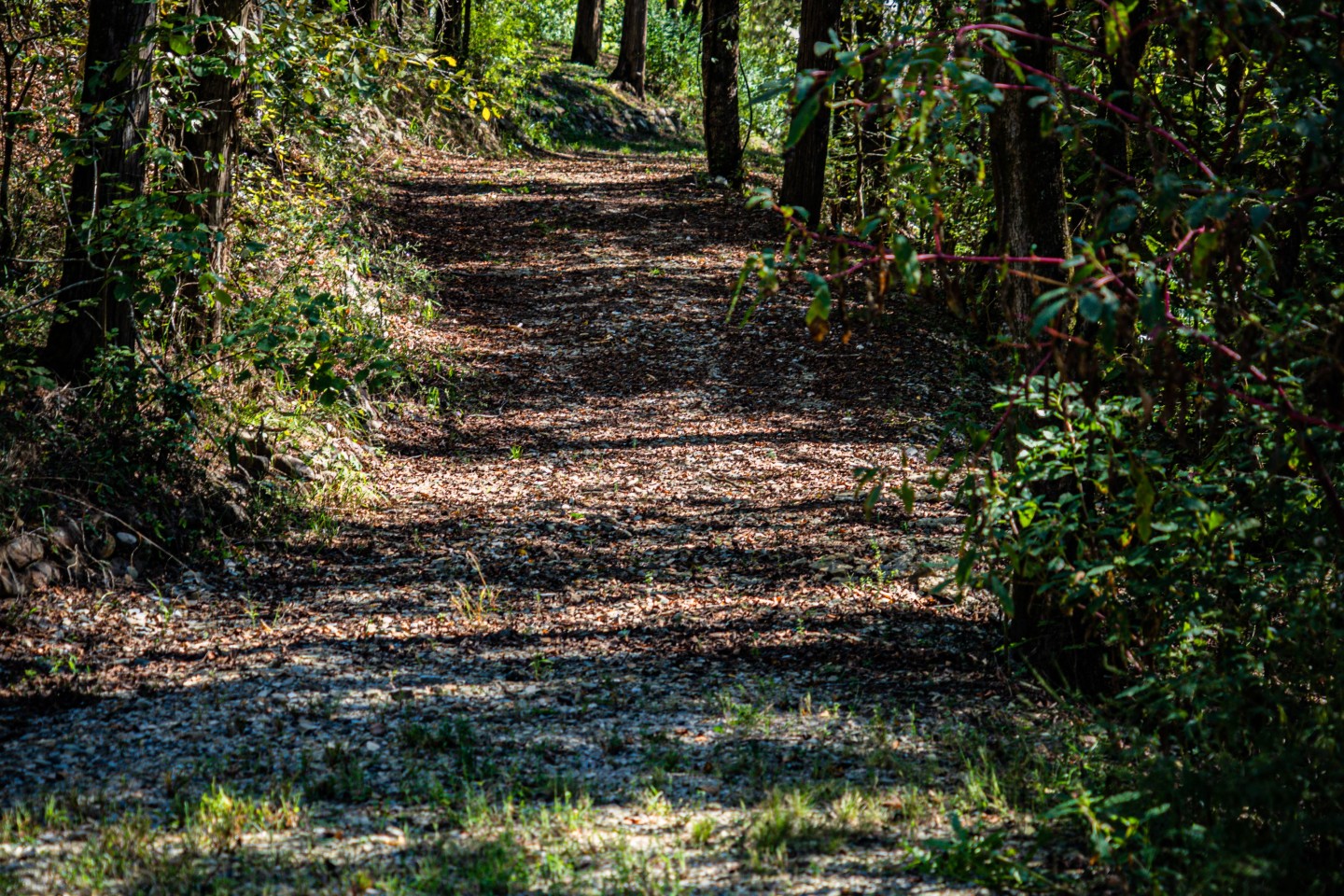 45 acres of walking trails, blufftop views and Ouachita River access
